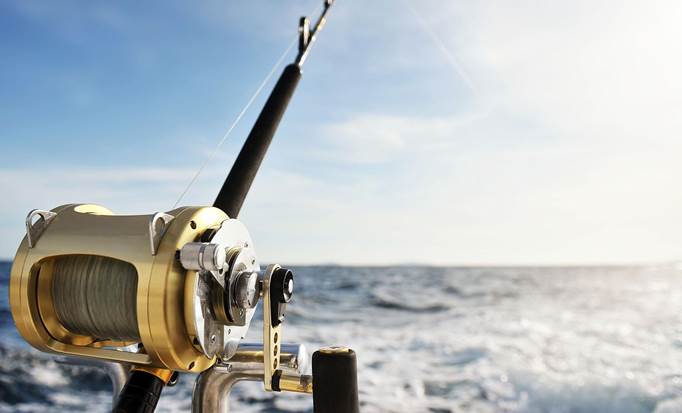 Roatan Sport Fishing Tour